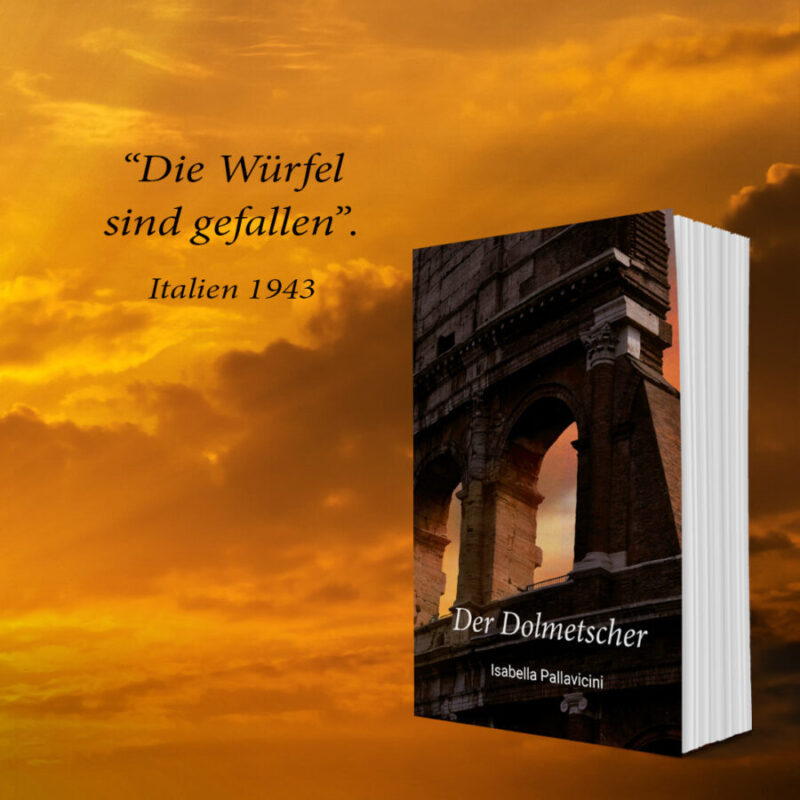 The Interpreter Book Cover